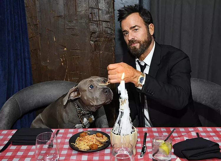 Джастин Теру устроил своему спасенному после урагана псу незабываемое путешествие