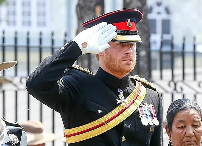 Инсайдеры: принц Уильям завидует успеху брата Гарри из-за Игр непобежденных