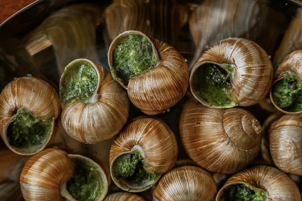 ресторан Шануар, улитки