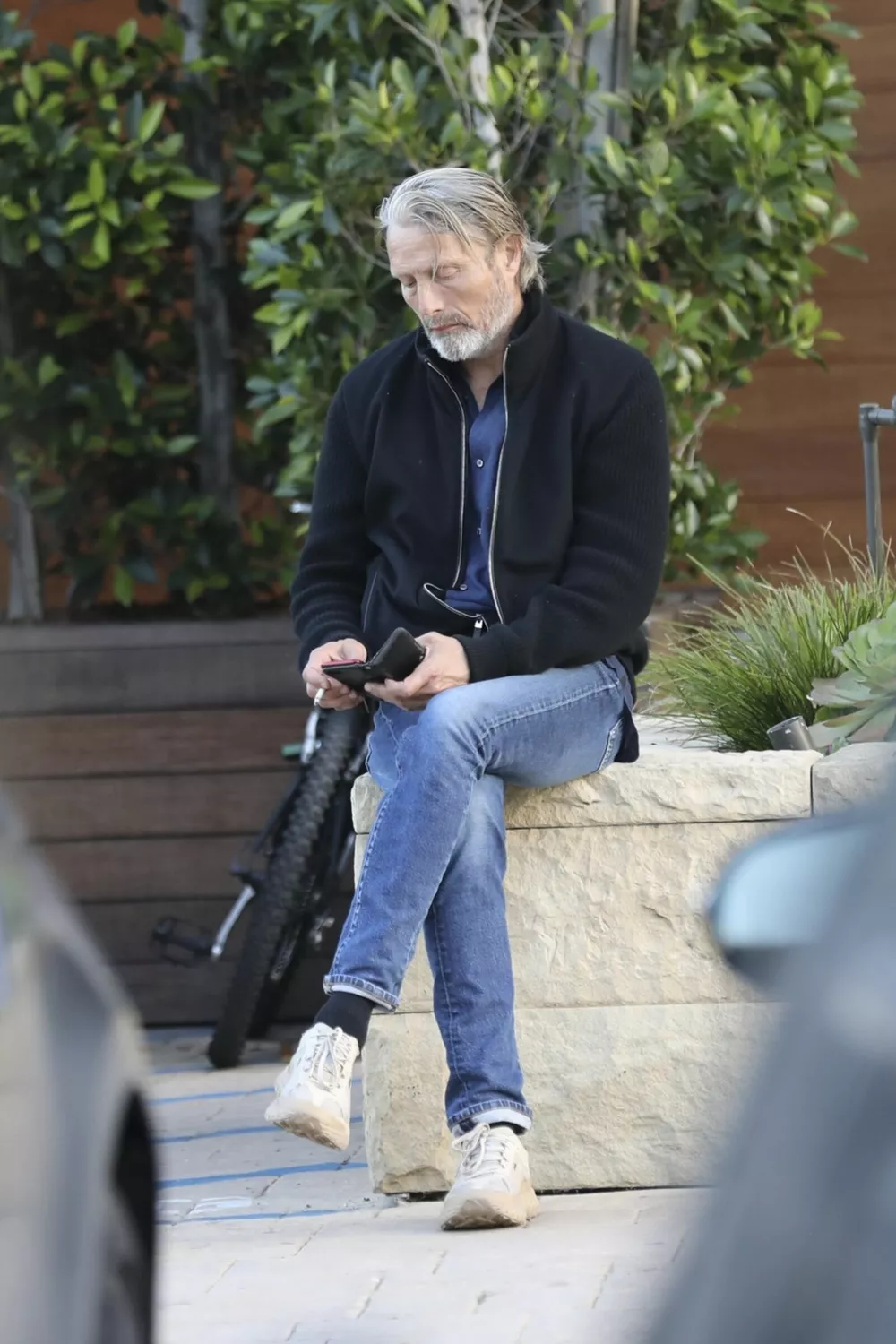 Мадс Миккельсон