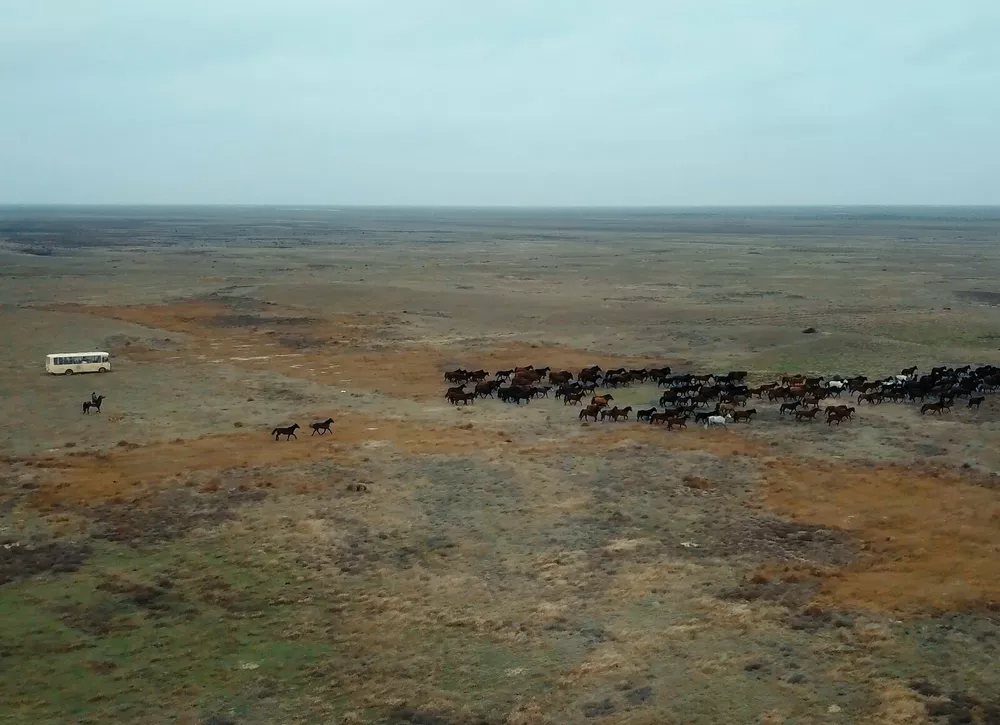 Документальное кино о проблемах, которые касаются каждого 