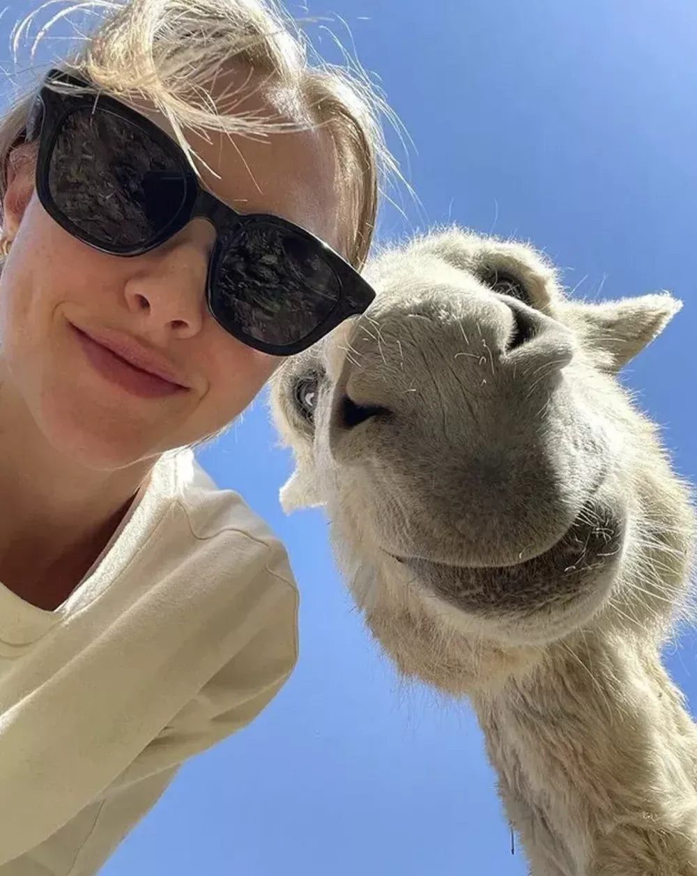 Аманда Сейфрид