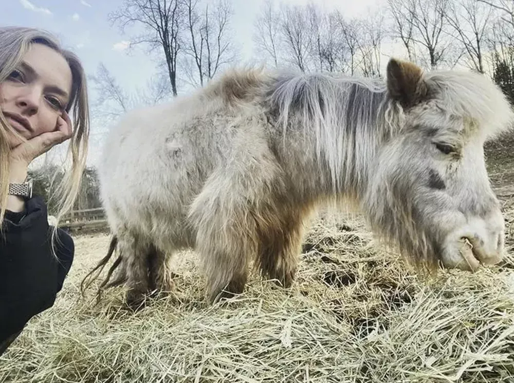 Аманда Сейфрид