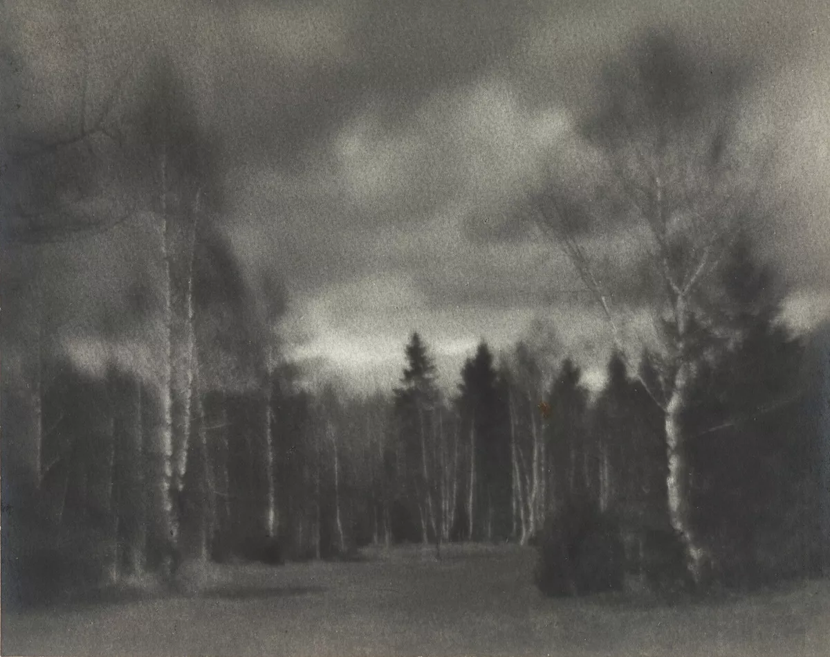 Н.П. Андреев. Опушка. 1920-е