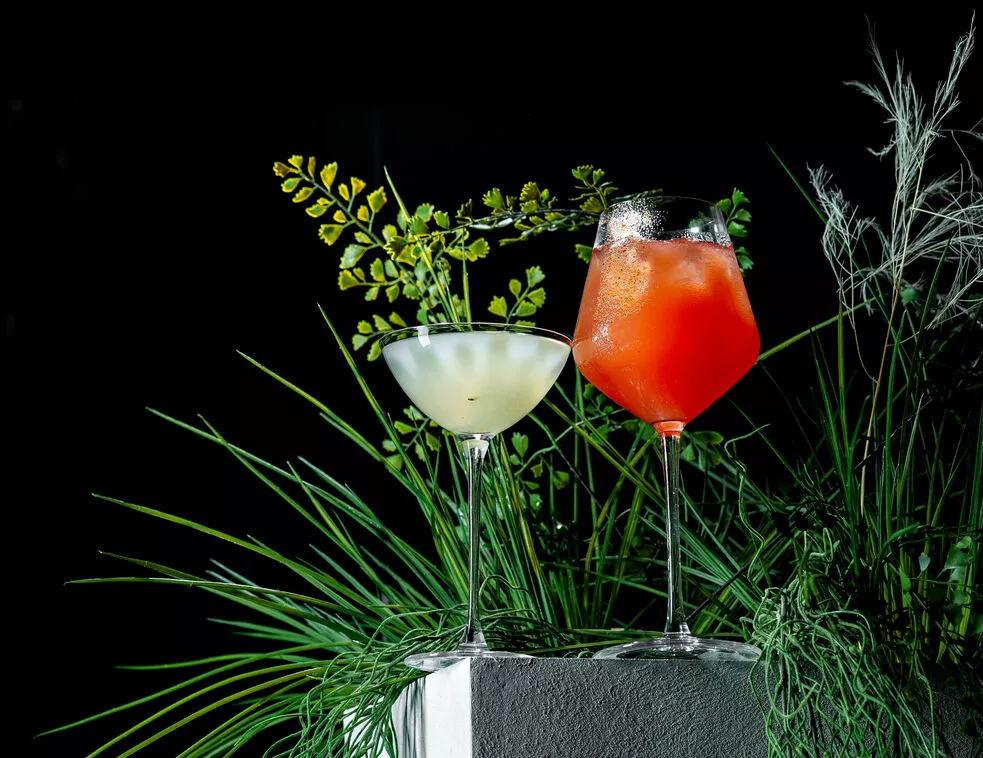 Melonholia и Watermelon Paloma
