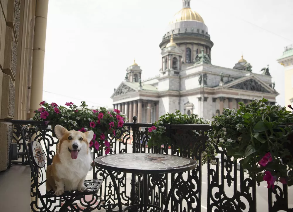 Туристические новости: фестиваль для гурманов, велнес по-вьетнамски, отельные коллаборации и премиальный прием для хвостатых гостей