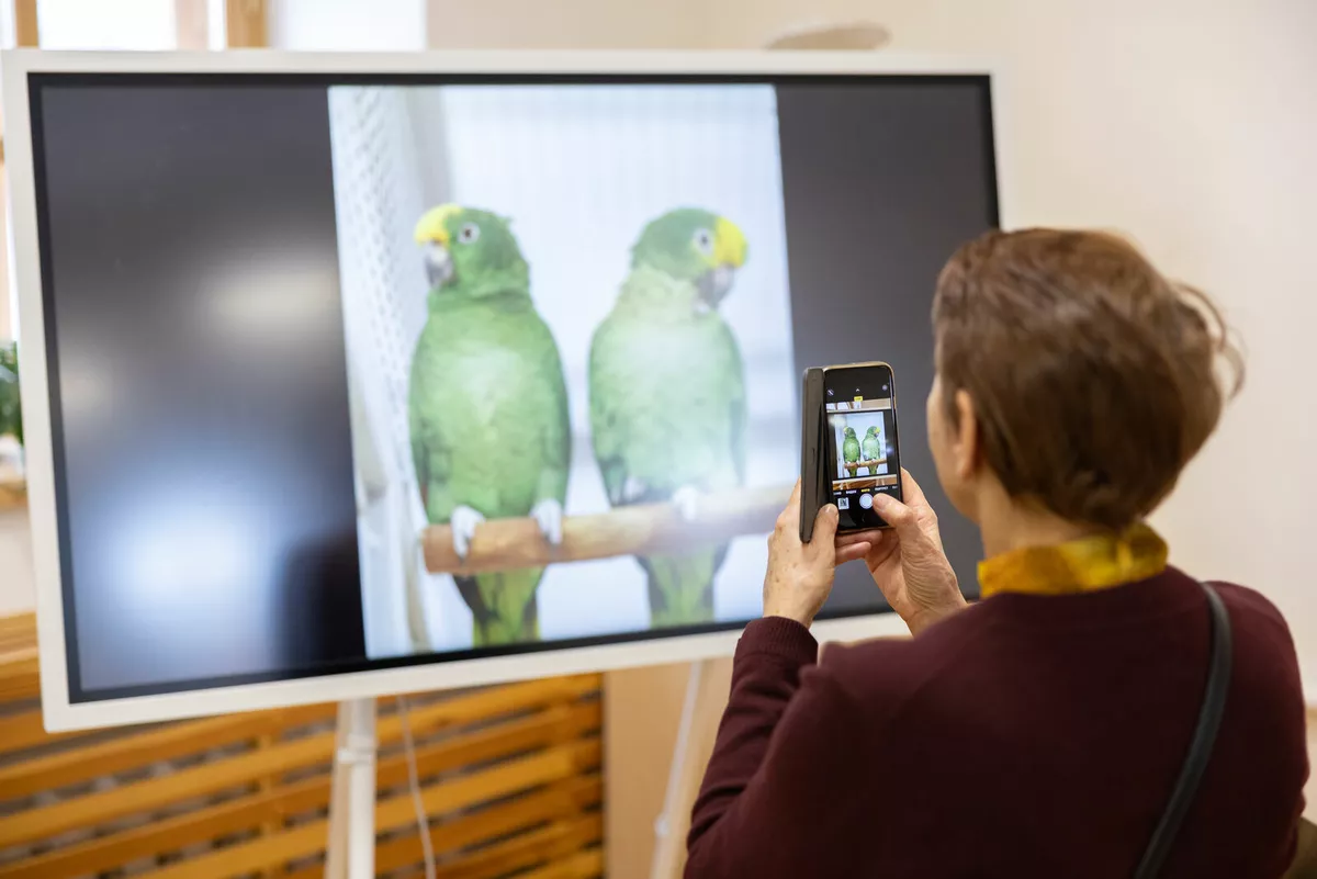 Samsung и Петергоф