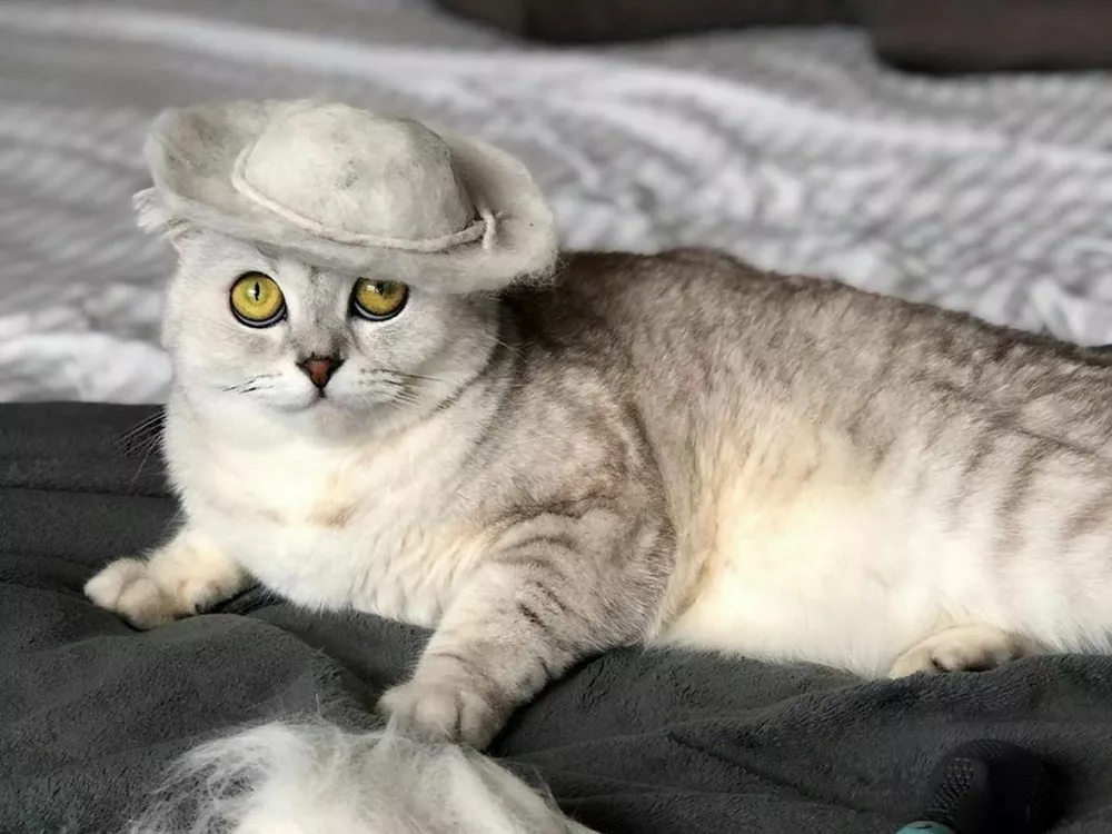 Соня