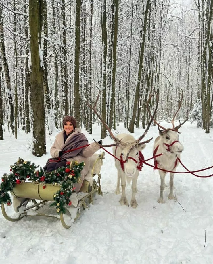 Жасмин
