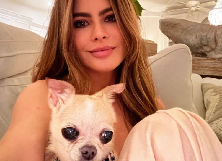 50-летняя София Вергара опубликовала фото в бикини