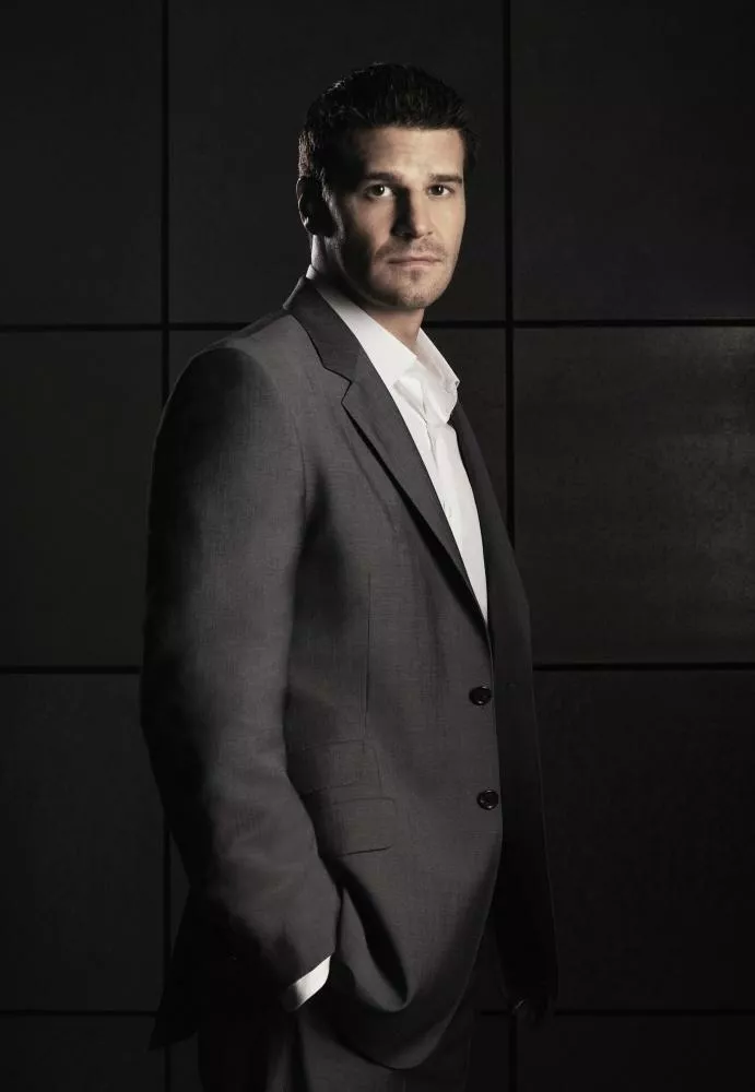 Дэвид в сериале “Кости”