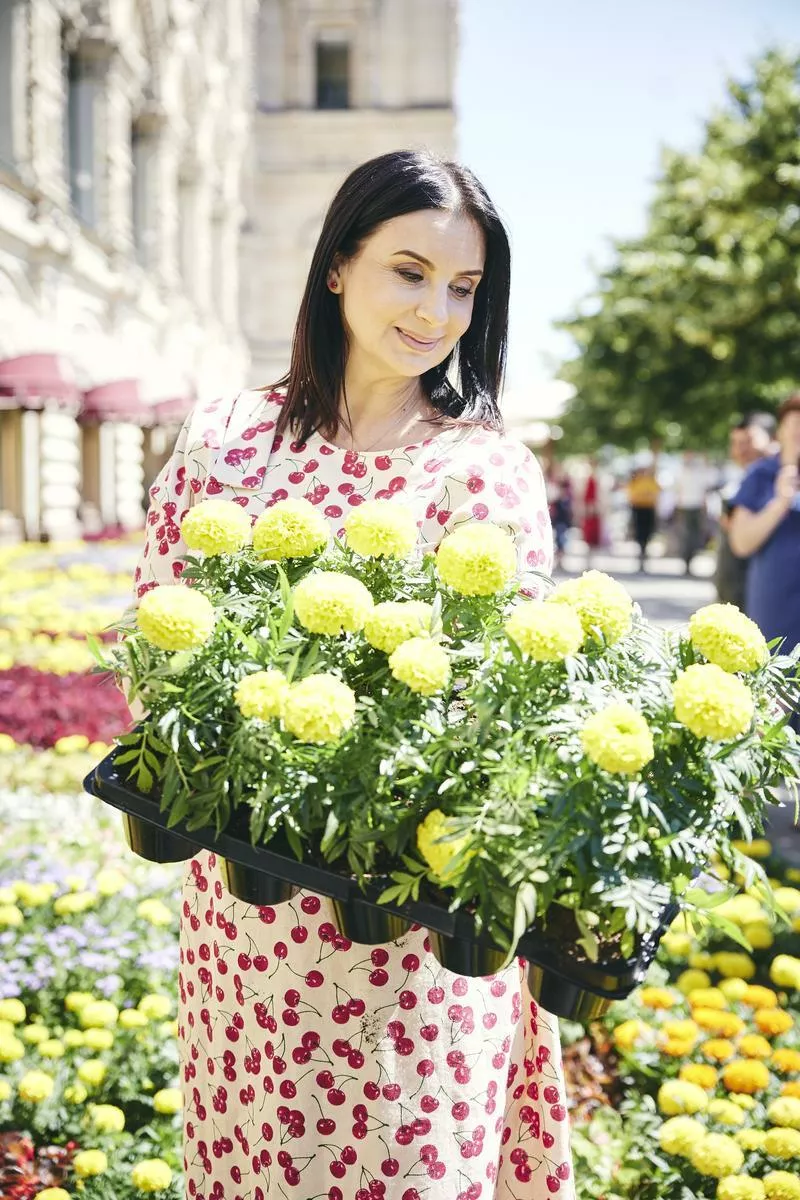 Екатерина Стриженова