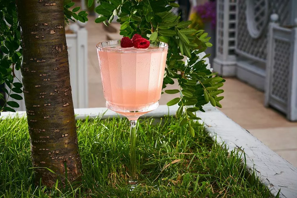 Berry Spritz