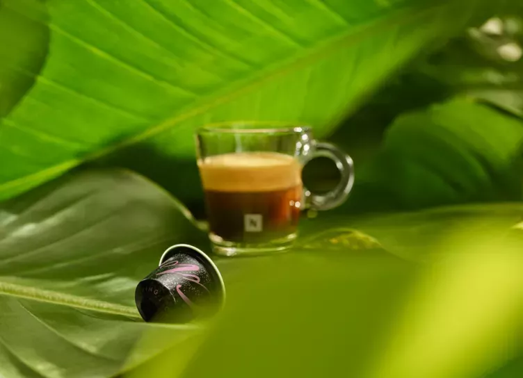 От наушников будущего до умных гладильных систем: техно-дайджест августа